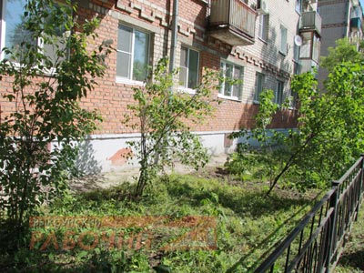 Здесь прошла газонокосилка