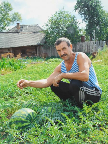 61-летний пенсионер Евгений Кочетков на личной бахче 
